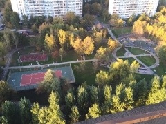 Территория парка (вид сверху)